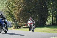 Advanced Group White Bikes